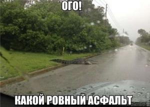 Автомобильные демотиваторы часть 201)