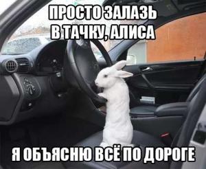 Автомобильные демотиваторы часть 202)