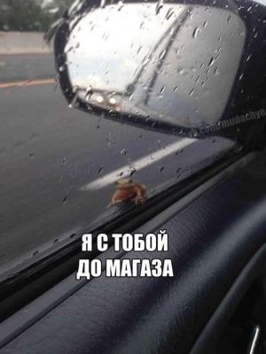 Автомобильные демотиваторы часть 203)