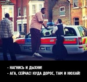 Автомобильные демотиваторы часть 206)
