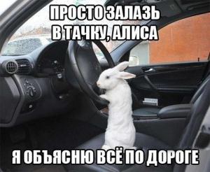 Автомобильные демотиваторы часть 208)