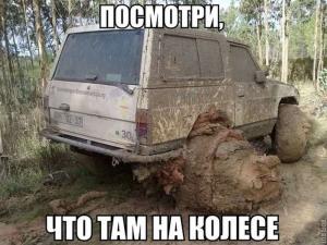 Автомобильные демотиваторы часть 208)