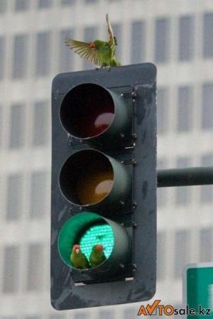 Автомобильная фотоподборка часть 209)