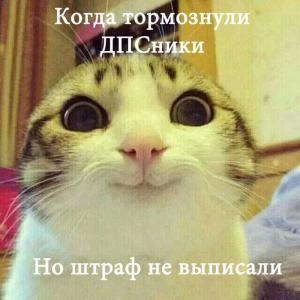 Автомобильные демотиваторы часть 209)