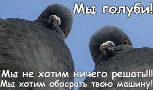 Автомобильные демотиваторы часть 209)