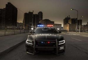 2015 Dodge Charger Pursuit