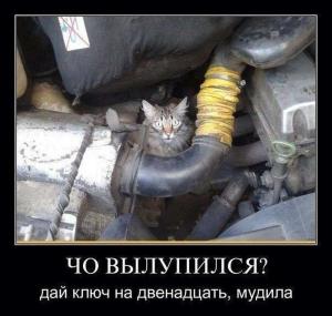 Автомобильные демотиваторы часть 213)