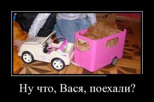 Автомобильные демотиваторы часть 214)