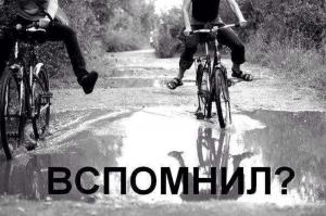 Автомобильные демотиваторы часть 217)