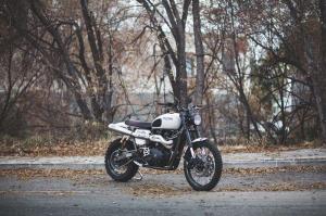 2014 Triumph Scrambler Tramontana