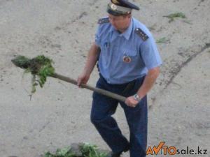 Автомобильная фотоподборка часть 218)