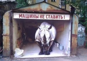 Автомобильные демотиваторы часть 220)