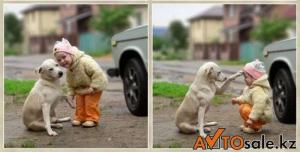 Автомобильная фотоподборка часть 221)