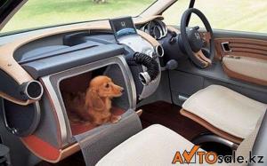 Автомобильная фотоподборка часть 221)