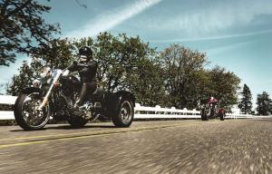 2015 Harley-Davidson Freewheeler
