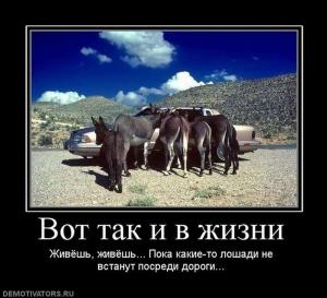 Автомобильные демотиваторы часть 224)
