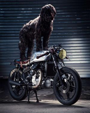 1978 Honda CX500 by Patrick Sauter