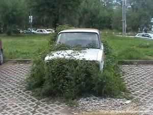 Автомобильная фотоподборка часть 225)