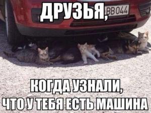 Автомобильные демотиваторы часть 226)