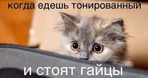 Автомобильные демотиваторы часть 227)