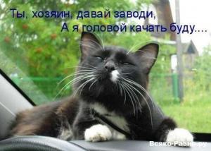 Автомобильные демотиваторы часть 228)