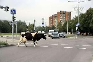 Автомобильная фотоподборка часть 232)