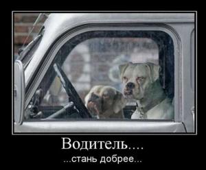 Автомобильные демотиваторы часть 232)