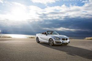 2014 BMW 228i Cabrio Sport Line
