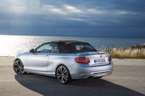 2014 BMW 228i Cabrio Sport Line
