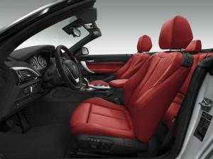 2014 BMW 228i Cabrio Sport Line