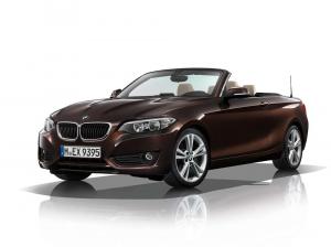 2014 BMW 228i Cabrio Sport Line