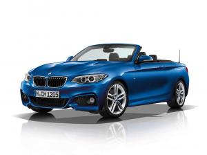 2014 BMW 228i Cabrio Sport Line