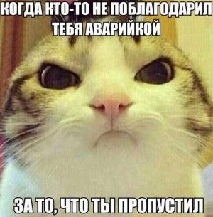 Автомобильные демотиваторы часть 235)