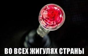 Автомобильные демотиваторы часть 235)