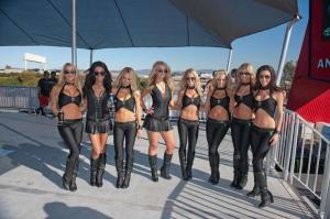 расотки Monster Energy