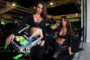 расотки Monster Energy