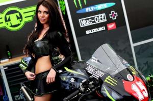 расотки Monster Energy