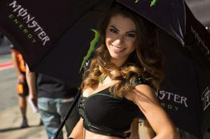 расотки Monster Energy