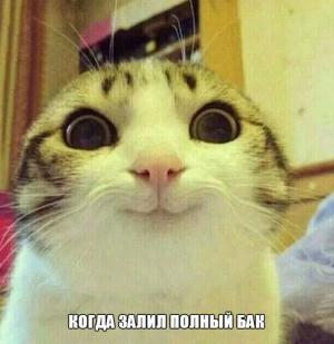 Автомобильные демотиваторы часть 238)