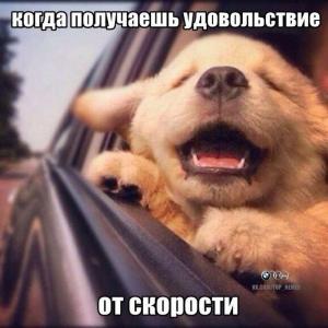 Автомобильные демотиваторы часть 239)