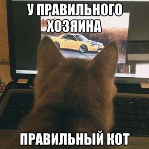 Автомобильные демотиваторы часть 241)