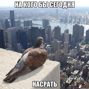 Автомобильные демотиваторы часть 242)