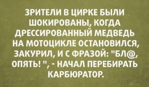 Автомобильные демотиваторы часть 242)
