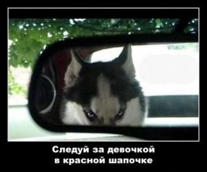 Автомобильные демотиваторы часть 242)