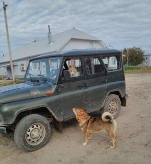 Автомобильная фотоподборка часть 244)