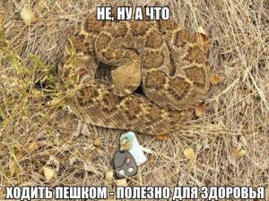 Автомобильные демотиваторы часть 245)