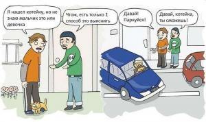 Автомобильные демотиваторы часть 245)