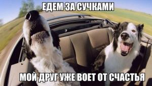 Автомобильные демотиваторы часть 246)