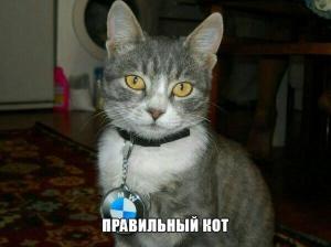 Автомобильные демотиваторы часть 246)