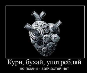 Автомобильные демотиваторы часть 248)